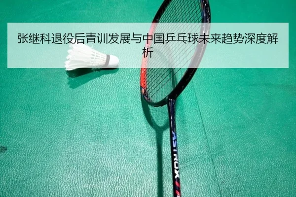 张继科退役后青训发展与中国乒乓球未来趋势深度解析